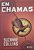 Livro em Chamas Autor Collins, Suzanne (2011) [seminovo] - Imagem 1