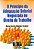Livro o Princípio da Adequação Setorial Negociada no Direito do Trabalho Autor Teodoro, Maria Cecília Máximo (2007) [seminovo] - Imagem 1
