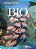 Livro Bio 2 Autor Lopes, Sônia (2006) [usado] - Imagem 1
