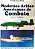 Livro Modernos Aviões Americanos de Combate Autor Anderton, David A. (1984) [usado] - Imagem 1