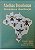 Livro Abelhas Brasileiras: Sistemática e Identificação Autor Silveira, Fernando A. (2002) [usado] - Imagem 1