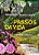 Livro Passos da Vida Autor Xavier, Francisco Cândido (1988) [usado] - Imagem 1