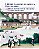 Livro o Brasil na Visão do Artista - o País e sua Cultura Autor Morais, Frederico (2003) [seminovo] - Imagem 1