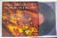 Disco de Vinil Flowers In The Dirt (lp 1989) Interprete Paul Mccartney (1989) [usado] - Imagem 1