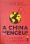 Livro a China Venceu? o Desafio Chinêa À Supremacia Americana Autor Mahbubani, Kishore (2021) [seminovo] - Imagem 1