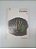 Livro Exodus 1 Autor Leon Uris (1981) [usado] - Imagem 1