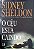 Livro o Céu Está Caindo Autor Sheldon, Sidney (2000) [usado] - Imagem 1