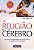 Livro a Religião do Cérebro - as Novas Descobertas da Neurociência a Respeito da Fé Humana Autor Júnior, Raul Marino (2005) [seminovo] - Imagem 1