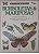 Livro Aventura Visual Borboletas & Mariposas: Conheça em Detalhe a Misteriosa e Encantadora Vida de Borboletas e Mariposas Autor Desconhecido [usado] - Imagem 1