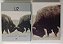 Dvd U2 - The Best Of 1990 - 2000 (faltando Disco Bônus) Editora (2002) [usado] - Imagem 1