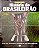 Revista Guia do Futebol - História do Brasileirão Autor (2017) [usado] - Imagem 1