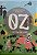 Livro a Maravilhosa Terra de Oz Autor Braum, L. Frank (2021) [seminovo] - Imagem 1