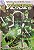 Gibi #32 - Lanterna Verde - o Dia Mais Claro Autor Johns, Geoff (2011) [usado] - Imagem 1