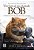 Livro um Gato de Rua Chamado Bob Autor Bowen, James (2013) [usado] - Imagem 1