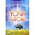 Livro Nova Aurora Autor Silva, Rogério Felisbino da (2008) [usado] - Imagem 1