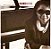 Cd Valerie Capers - Come On Home Interprete Valerie Capers [usado] - Imagem 1