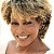 Cd Tina Turner - Wildest Dreams Interprete Tina Turner [usado] - Imagem 1
