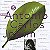 Cd Various - Songbook Antonio Carlos Jobim 5 Interprete Vários (1996) [usado] - Imagem 1