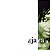 Cd Djavan - Bicho Solto o Xiii Interprete Djavan (1999) [usado] - Imagem 1