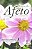 Livro Laços de Afeto: Caminhos do Amor na Convivência Autor Oliveira, Wanderley S. de (2002) [usado] - Imagem 1
