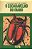 Livro o Escaravelho do Diabo (série Vaga-lume) Autor Almeida, Lúcia Machado de (1987) [usado] - Imagem 1