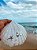 Colar estrela do mar - Imagem 2