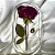 Sílica para Secagem de Flores Redry (01 kg) - Imagem 5