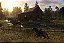 Jogo Red Dead Redemption 2 - Ps4 - Imagem 4