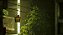 Jogo Stray  -  Ps4 - Imagem 9