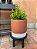 Mini Banqueta - Natural Colors - Imagem 7