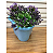 Baldes de 8L Multiuso Cestos Reforçado Colorido para Limpeza, Vasos Jardinagem e etc - Imagem 6