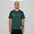 CAMISETA CHAMPION LIFE COLORS SCRIPT LOGO EMB VERDE ESCURO - Imagem 1