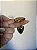 Plug Dourado Com Pedra De Coração Cravejada Em Strass  Tam M-HA136D - Imagem 3