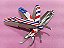 KIT NAVALHA AMERICAN - Imagem 2