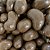 Drágeas Castanha Caju ao Leite - Granel 76g - Imagem 2