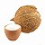Coco Flocos Finos - Granel 250g - Imagem 1