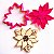Cortador e Marcador Flor do Natal - Poinsettia - Bico de Papagaio - D240182 - Imagem 6