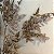 Haste de Nandina - Imagem 1