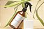 Home Spray Bamboo Dreams 250 ml - Imagem 2