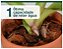CHIP DE COCO - MOGIFERTIL 10 LTS - Imagem 2