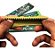 BLUNT WRAP - LION ROLLING CIRCUS - NATURAL - Imagem 3