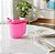 Tupperware Jarra Aquecer 1L - Imagem 1