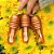 Gloss Lip Honey Franciny Ehlke - Imagem 4