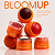Blush Multifuncional Bloom Up - Mari Maria - Imagem 1
