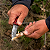 12pçs Canivete Chaveiro De Bolso Caça Pesca Dobrável - Imagem 5