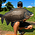 Carretilha Maruri Black Tamba S2 12 Rolamentos Drag 9kg - Imagem 7