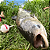 Boia Paulistinha Simples - Imagem 9