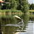 Isca Artificial Inna Pro Tuned 6cm Cor 450 - Marine - Imagem 10