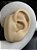 Piercing ramo-Titânio - Imagem 5