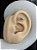 Piercing cobra zircônia-Titânio - Imagem 3